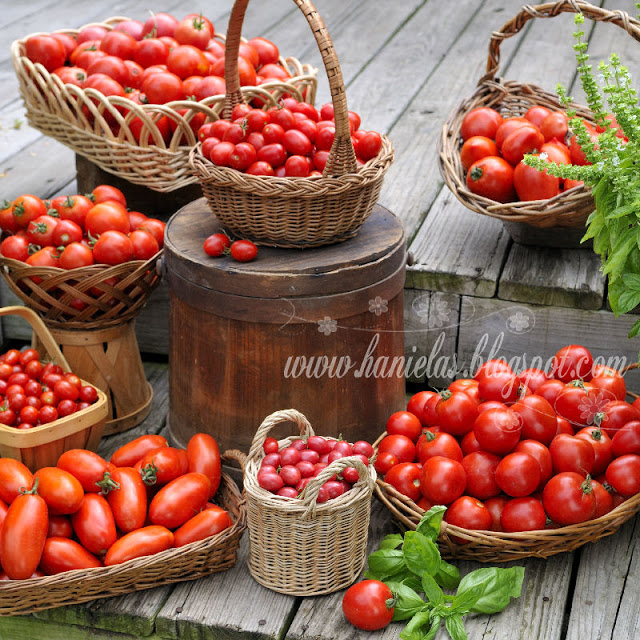 Beautiful Tomatoes from the Garden