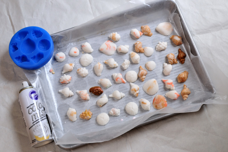 Culpitt Gumpaste Sea Shells - 23 Piece