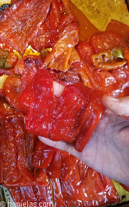 A hand holding a skinned pepper.