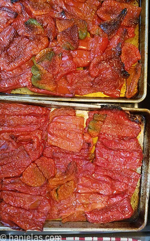 View from above. Baking sheets with roasted peppers