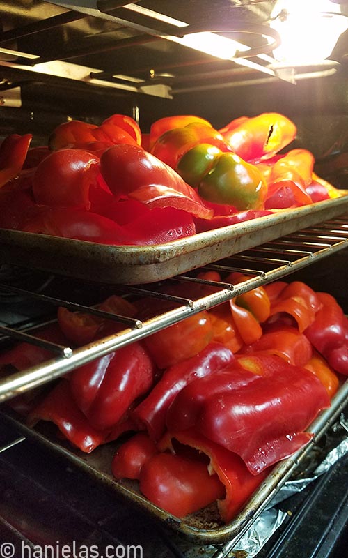 Baking sheets with peppers in the oven.
