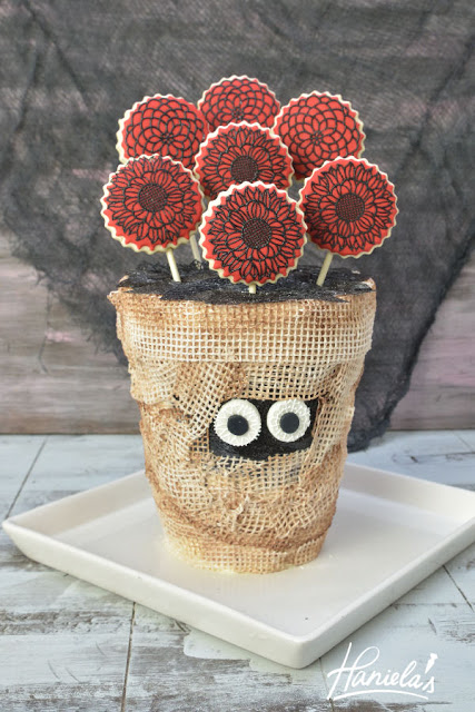 Mummy Flower Vase Cake with SugarVeil®