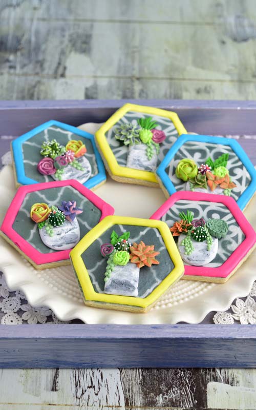 Decorate Beautiful Succulent Cookies