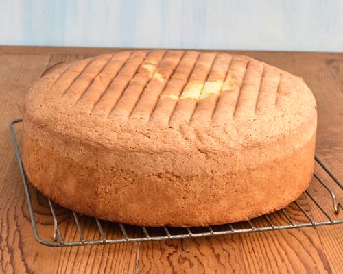 Baked sponge cake on a cooling rack.