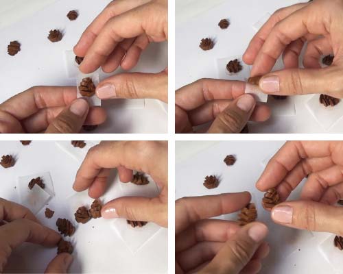 Removing dry royal icing pine cone from the wax paper.