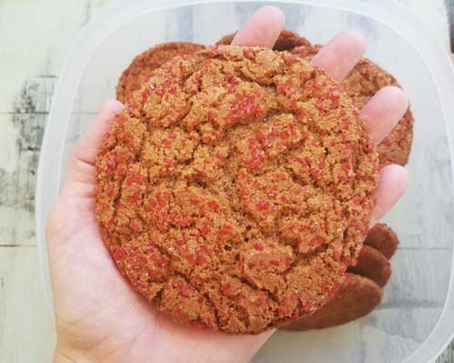 Holding a giant cookie in hand.