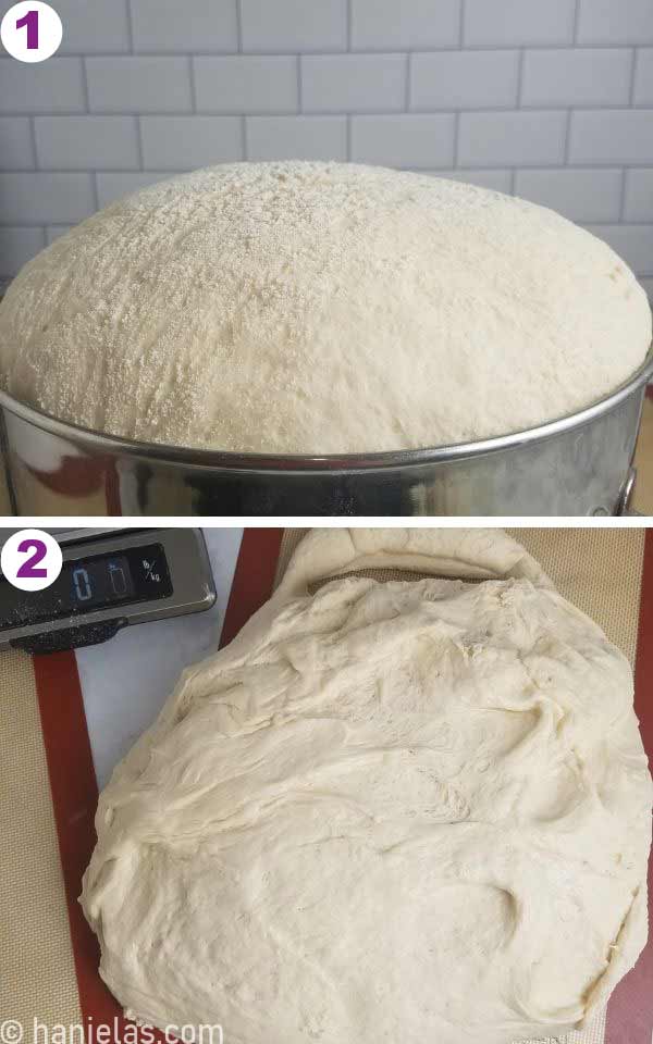 A large amount of proofed dough on a counter.