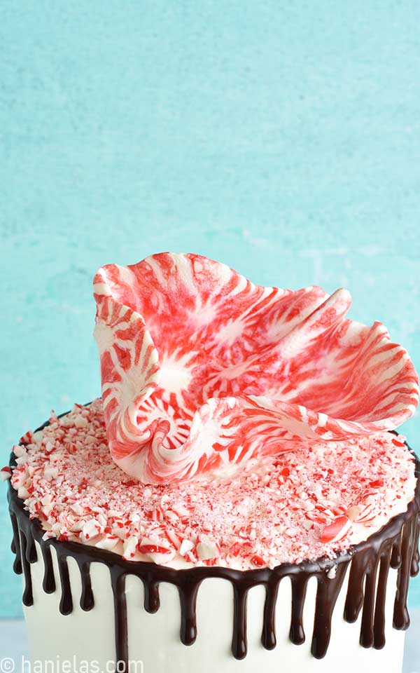 Red and white peppermint candy cake sail decoration.