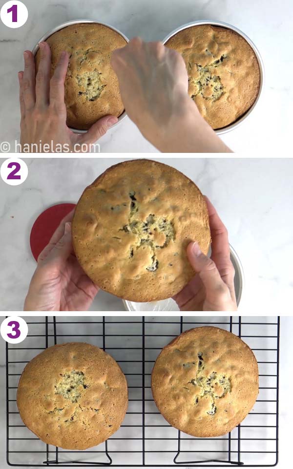 Hands holding baked round cake.
