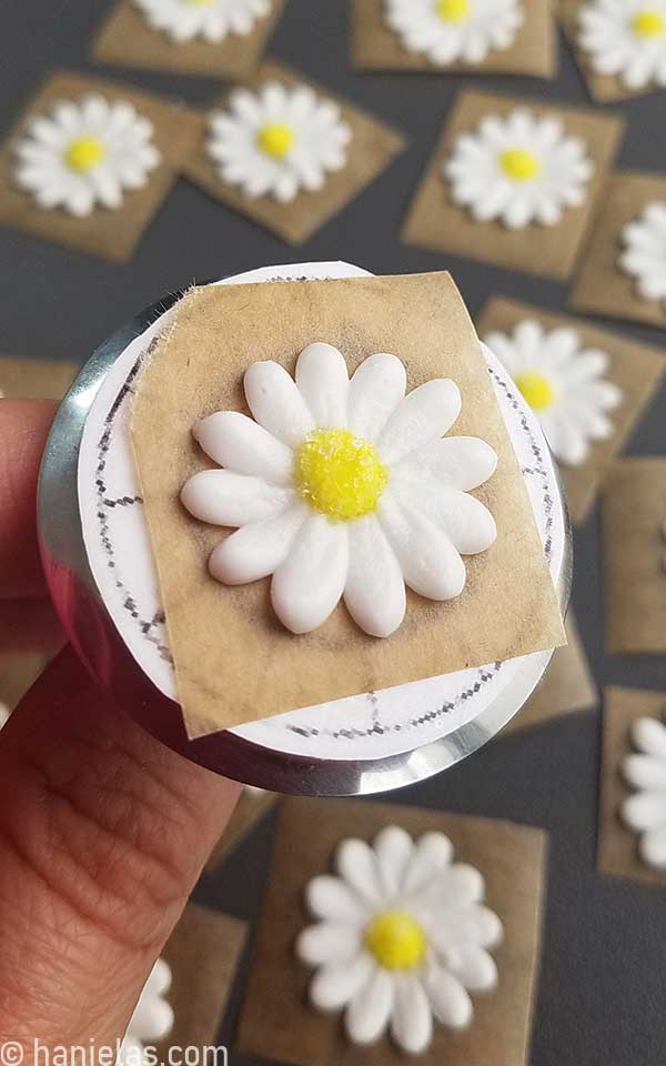 Easy Royal Icing Daisy Flowers