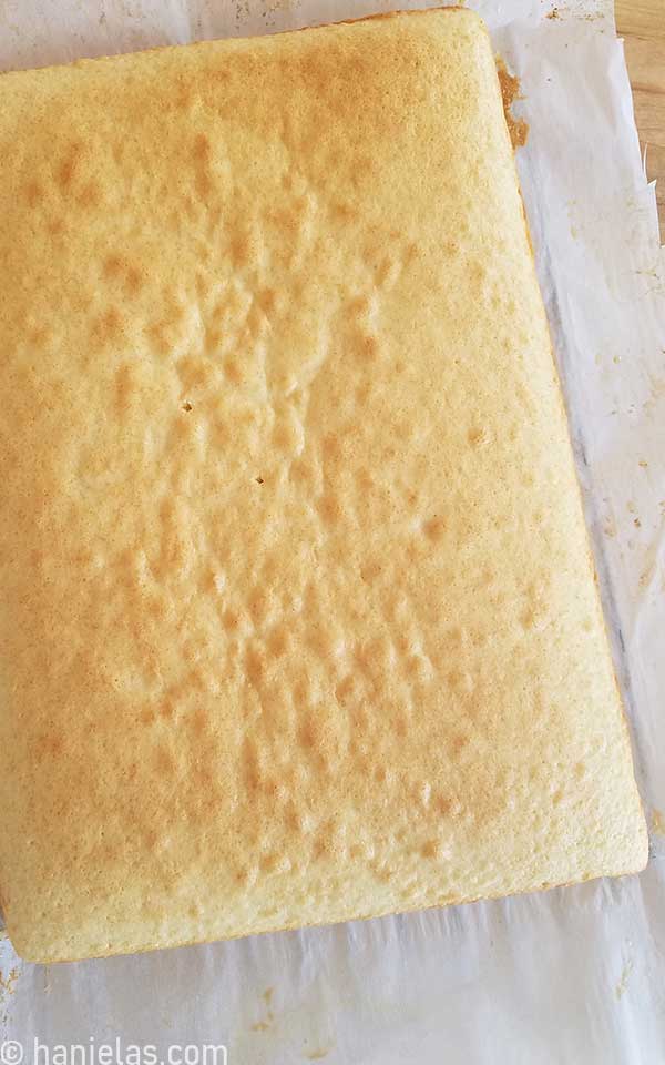 Baked cake on a parchment sheet.