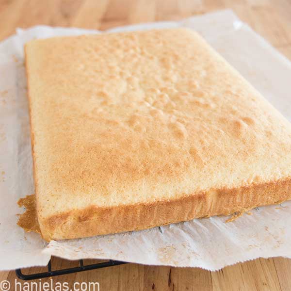 Baked sponge cake on a cooling rack.