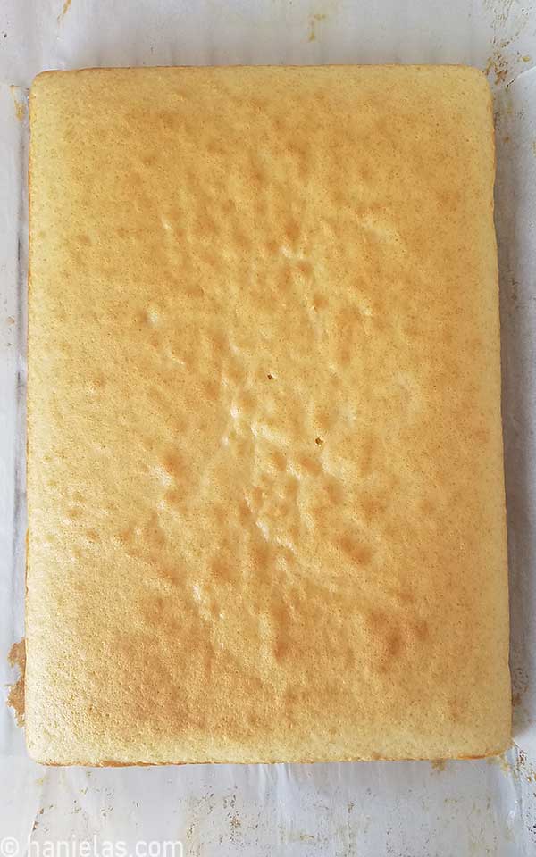 Baked yellow cake on parchment paper.