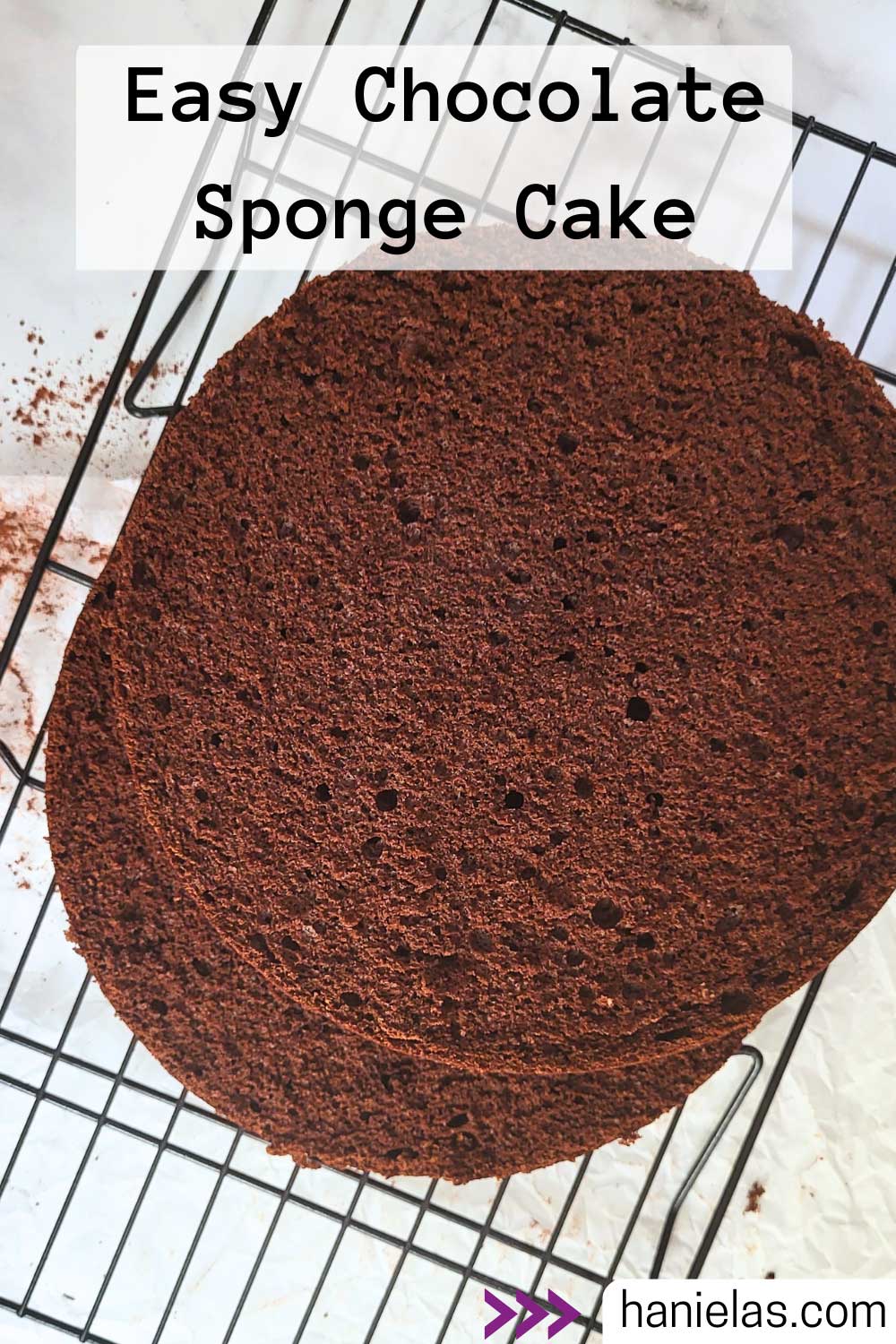 Easy Chocolate Sponge Cake Recipe - Haniela's: Sweet & Savory Recipes ...