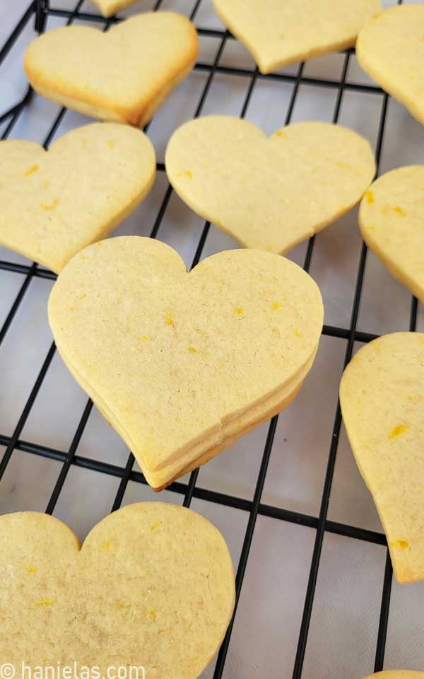 A close-up of a cookie.