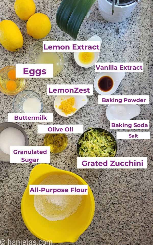 Large and small bowls with ingredients on a granite countertop.