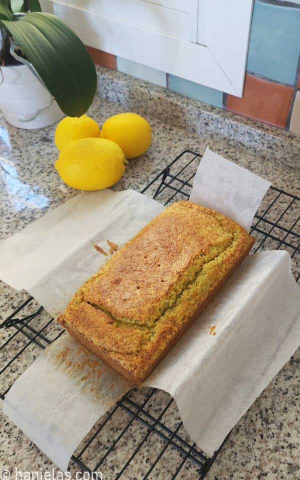 A cooling rack with bread on the top.
