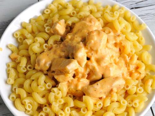 Bowl with cooked pasta and chicken stew.