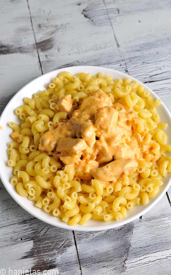 Bowl with cooked pasta and chicken stew.