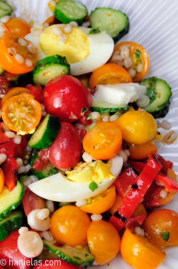 Tomato Barley Salad with Cucumber and Pepper