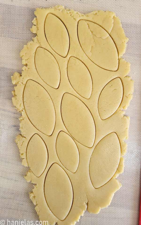 Rolled out cookie dough with leaf shape cut-outs.