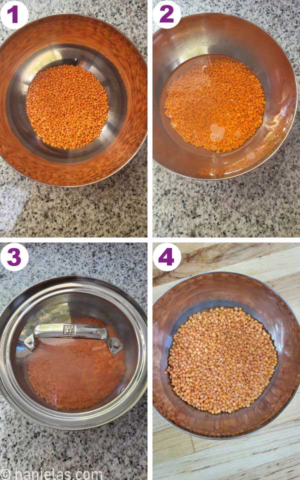 A stainless steel bowl, with dry and soaked lentils.