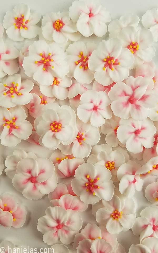 A bunch of dry sugar flowers.