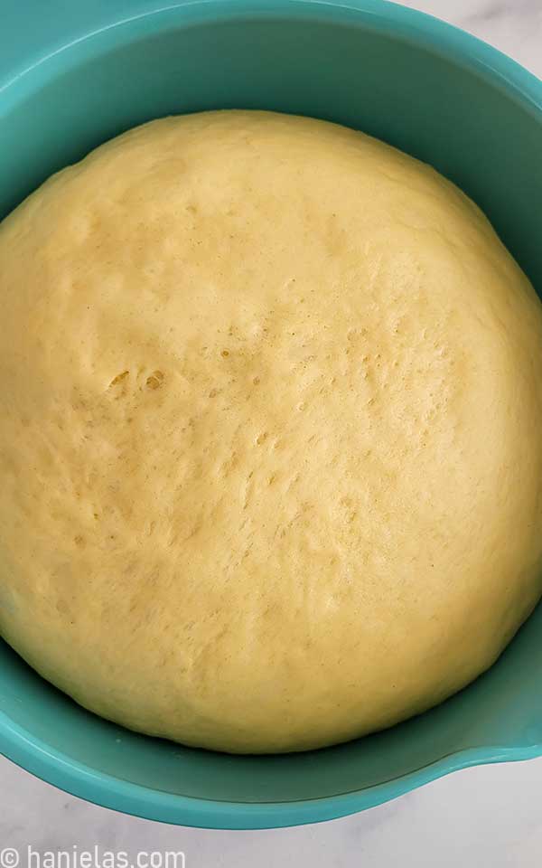 Teal blue bowl with risen yeasted dough.