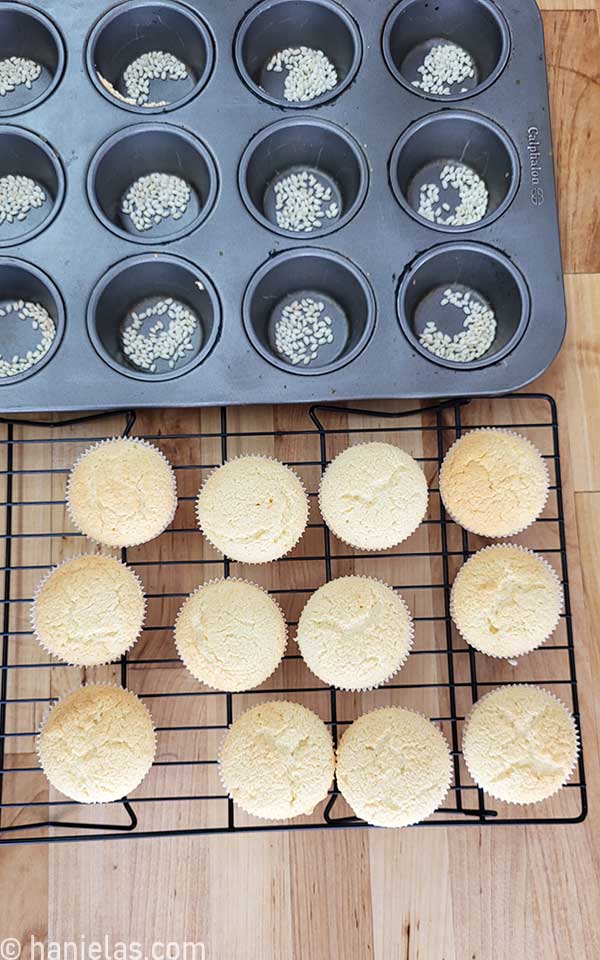 A cupcake pan filled with raw rice.