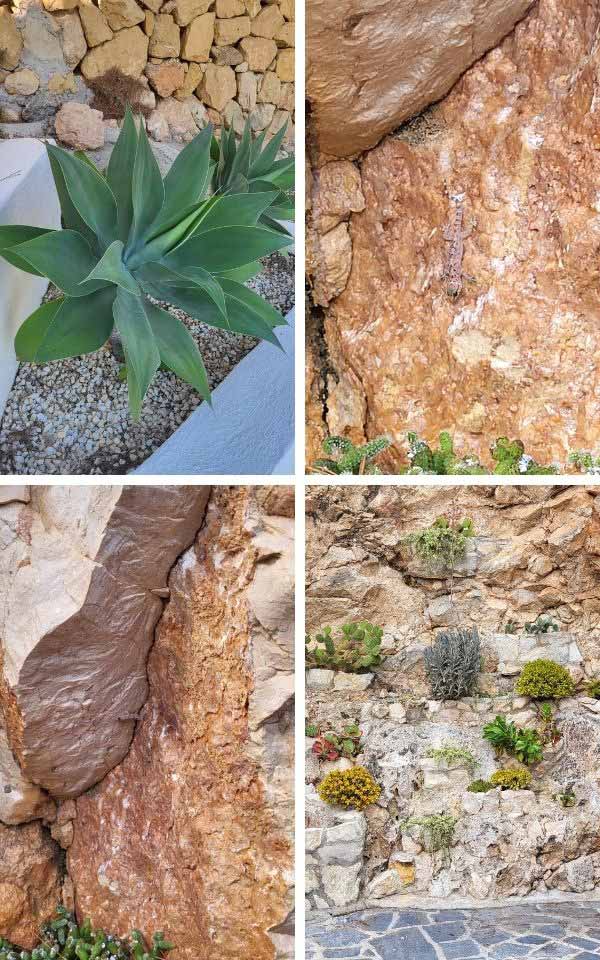 A rock garden with small lizards.